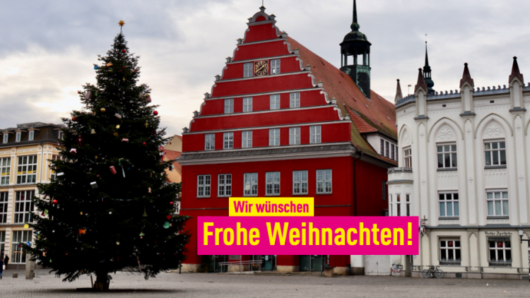 Motiv des Greifswalder Rathauses mit Weihnachtsbaum
